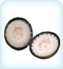 Carpet Cleaning Rotary Brush