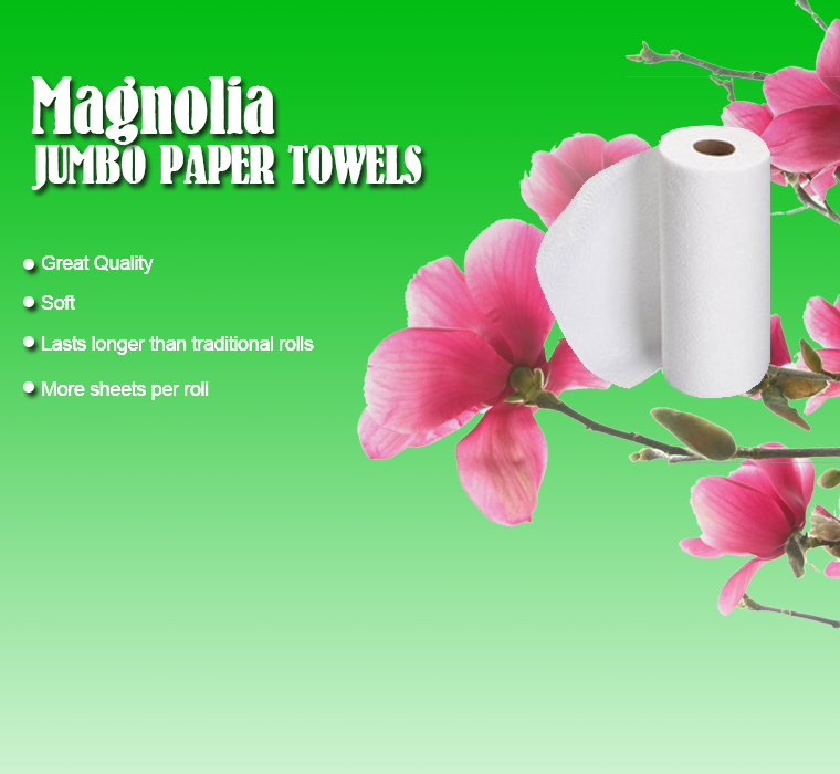 Great Quality. Soft. Lasts longer than traditional rolls. More sheets per roll.